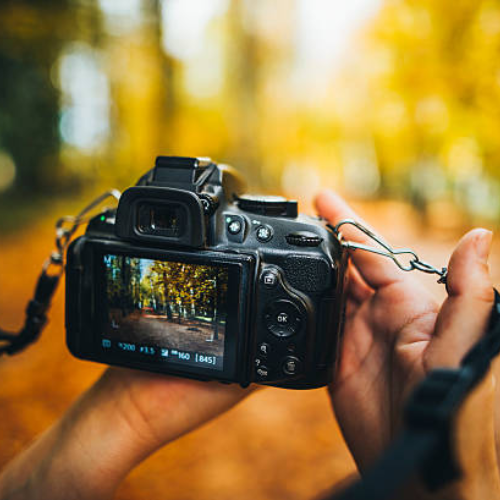 Canon Camera
